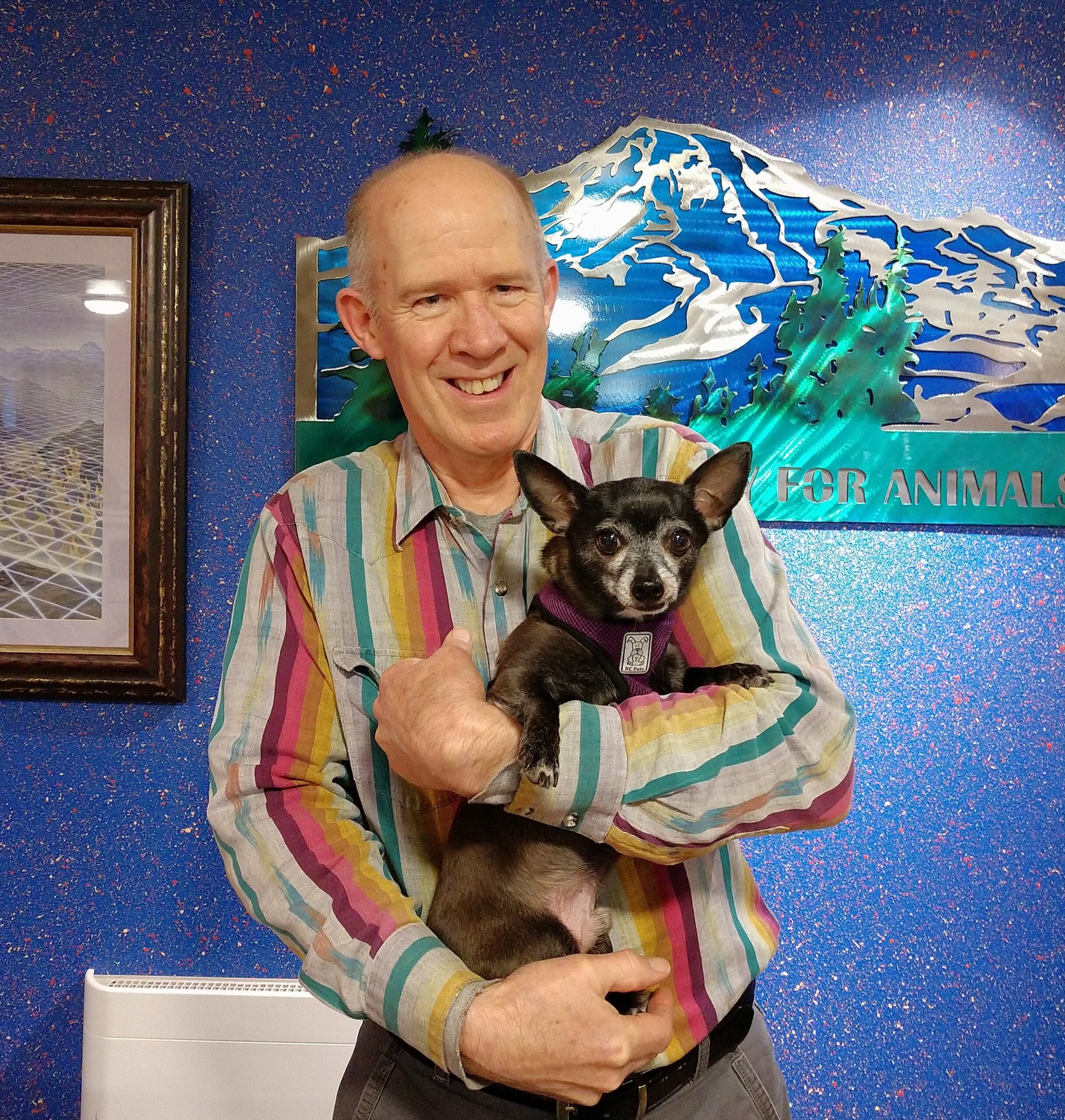 Smiling man in a colorful striped shirt holds a small dog in a harness against a blue speckled background with a "For Animals" sign.